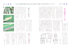 2011年 高島平 ふじさき歯科デンタルニュース No.19 4ページ