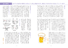 2020年 高島平 ふじさき歯科デンタルニュース No.28 4-5ページ